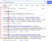 為什么我的網(wǎng)站site域名時(shí)不出圖 收錄內(nèi)容沒有圖片